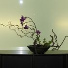 IKEBANA 2009