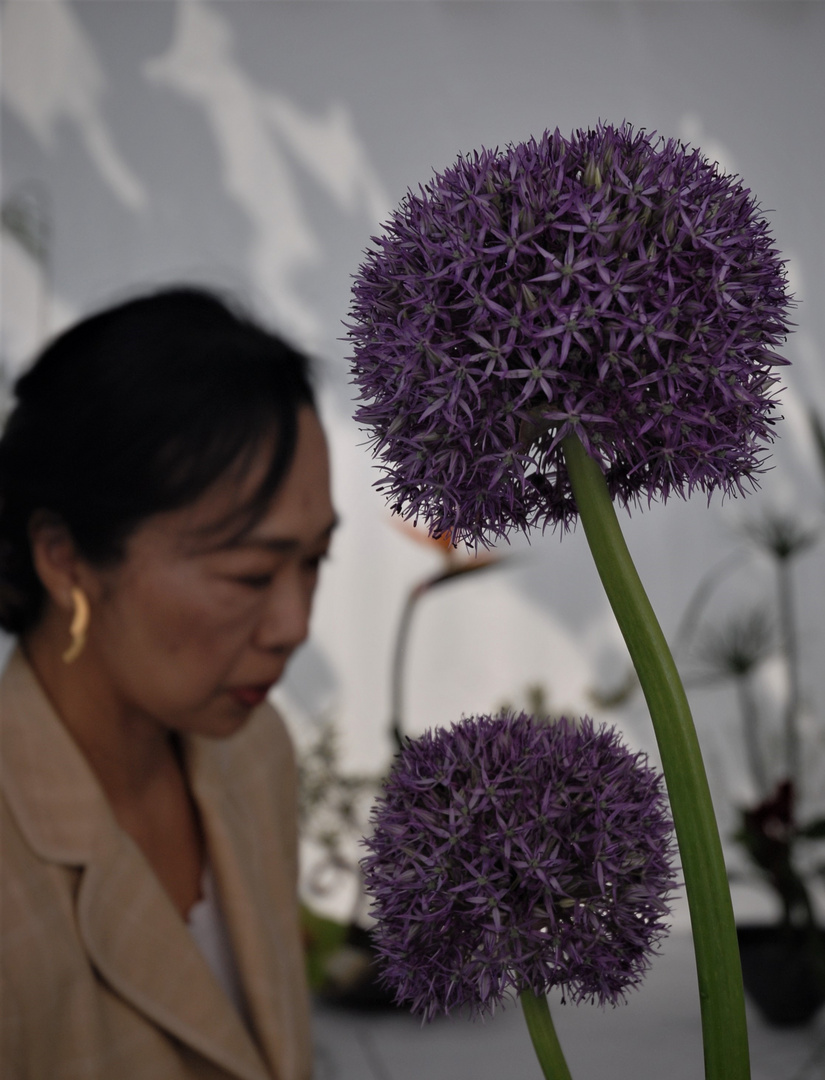 Ikebana