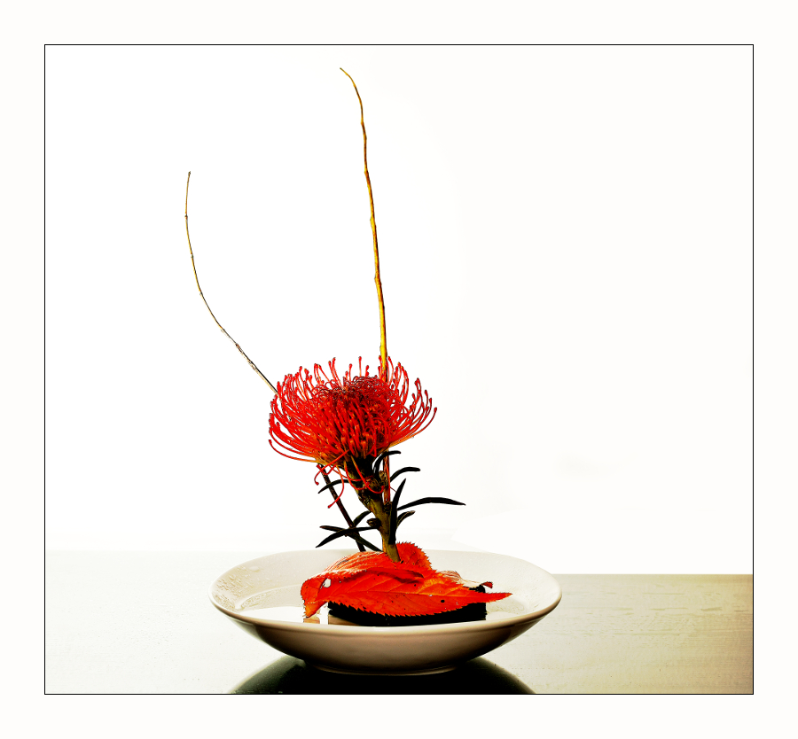 Ikebana #3