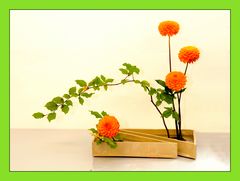 Ikebana