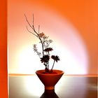 Ikebana #4