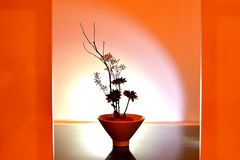 Ikebana #4