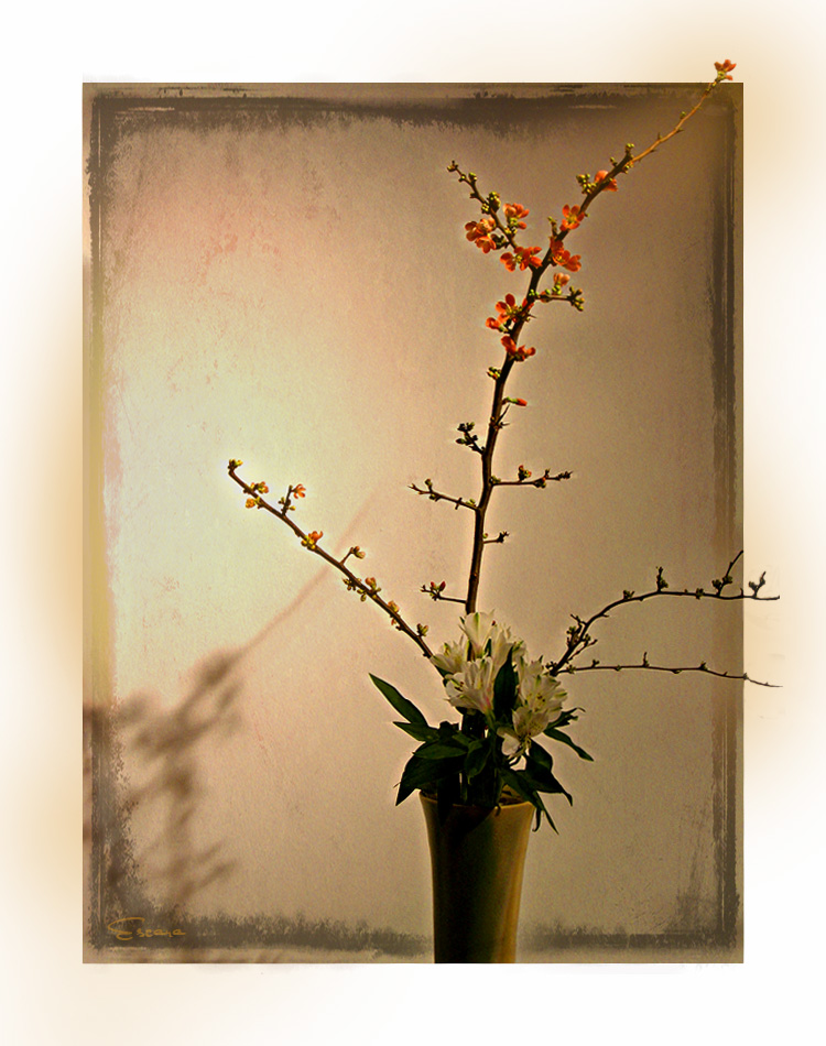 Ikebana