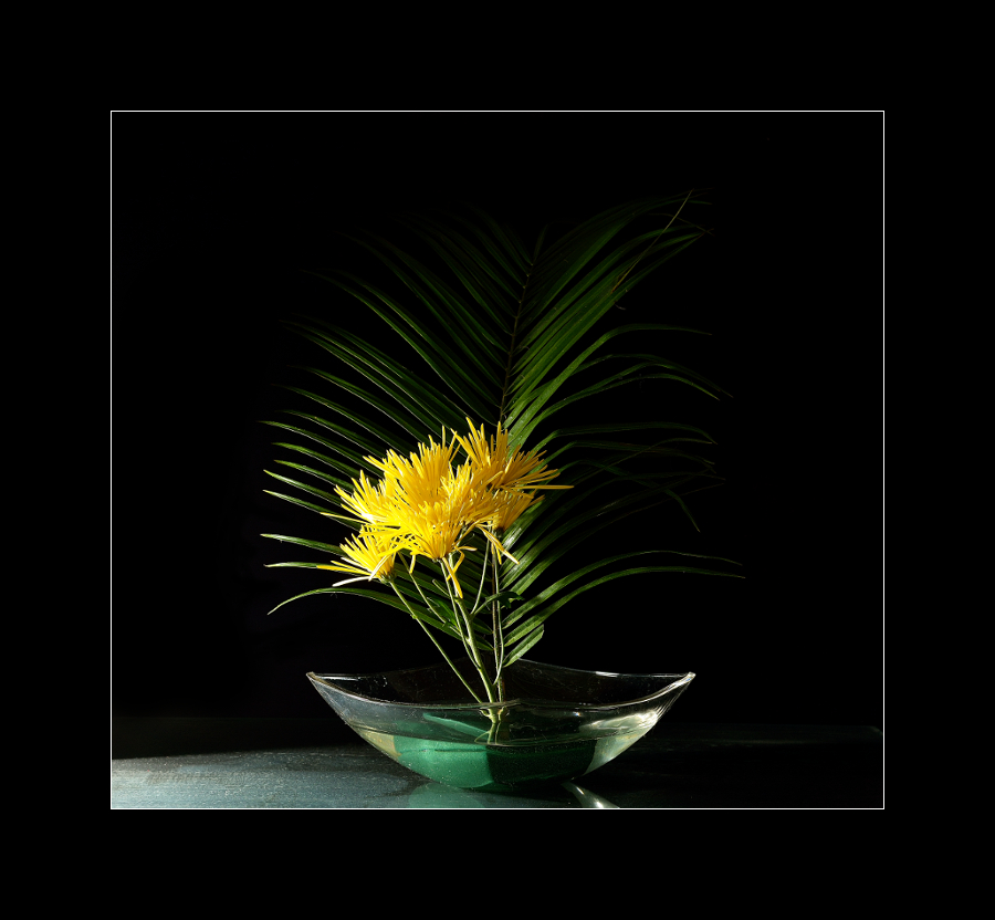 Ikebana #5