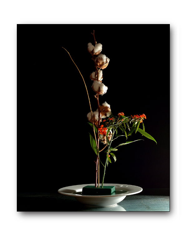 Ikebana #6