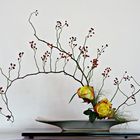 Ikebana