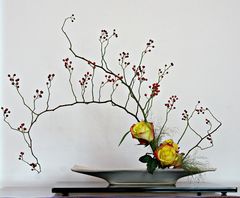 Ikebana