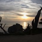 Ikebana an der kalifornischen Küste