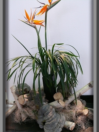 Ikebana