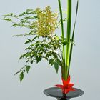 Ikebana-Kunst im Frankfurter Palmengarten