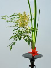 Ikebana-Kunst im Frankfurter Palmengarten