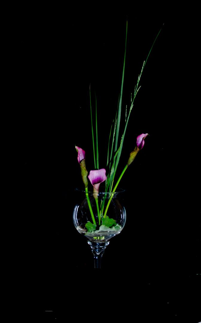 Ikebana mit Calla