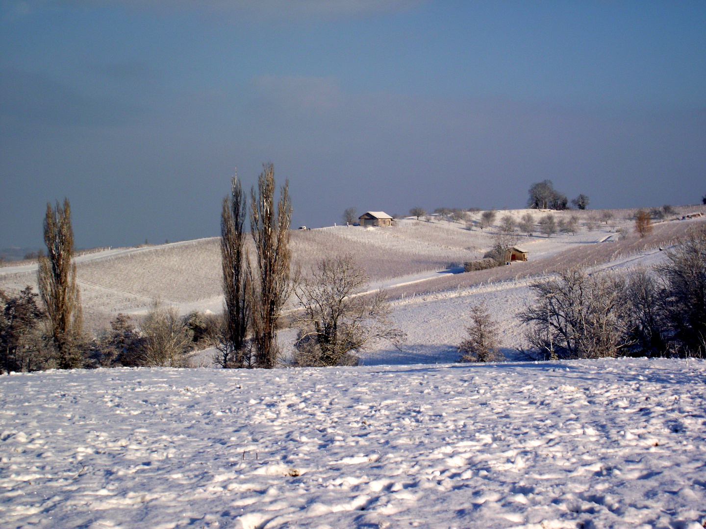 IL A NEIGE SUR LE JURA