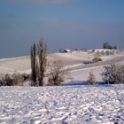 IL A NEIGE SUR LE JURA