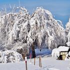 Il a neigé sur le Vercors!