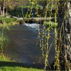 Il a tellement pleuré qu'il a les pieds dans l'eau