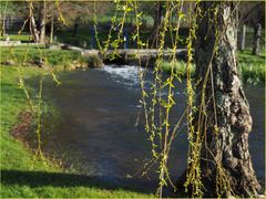 Il a tellement pleuré qu'il a les pieds dans l'eau