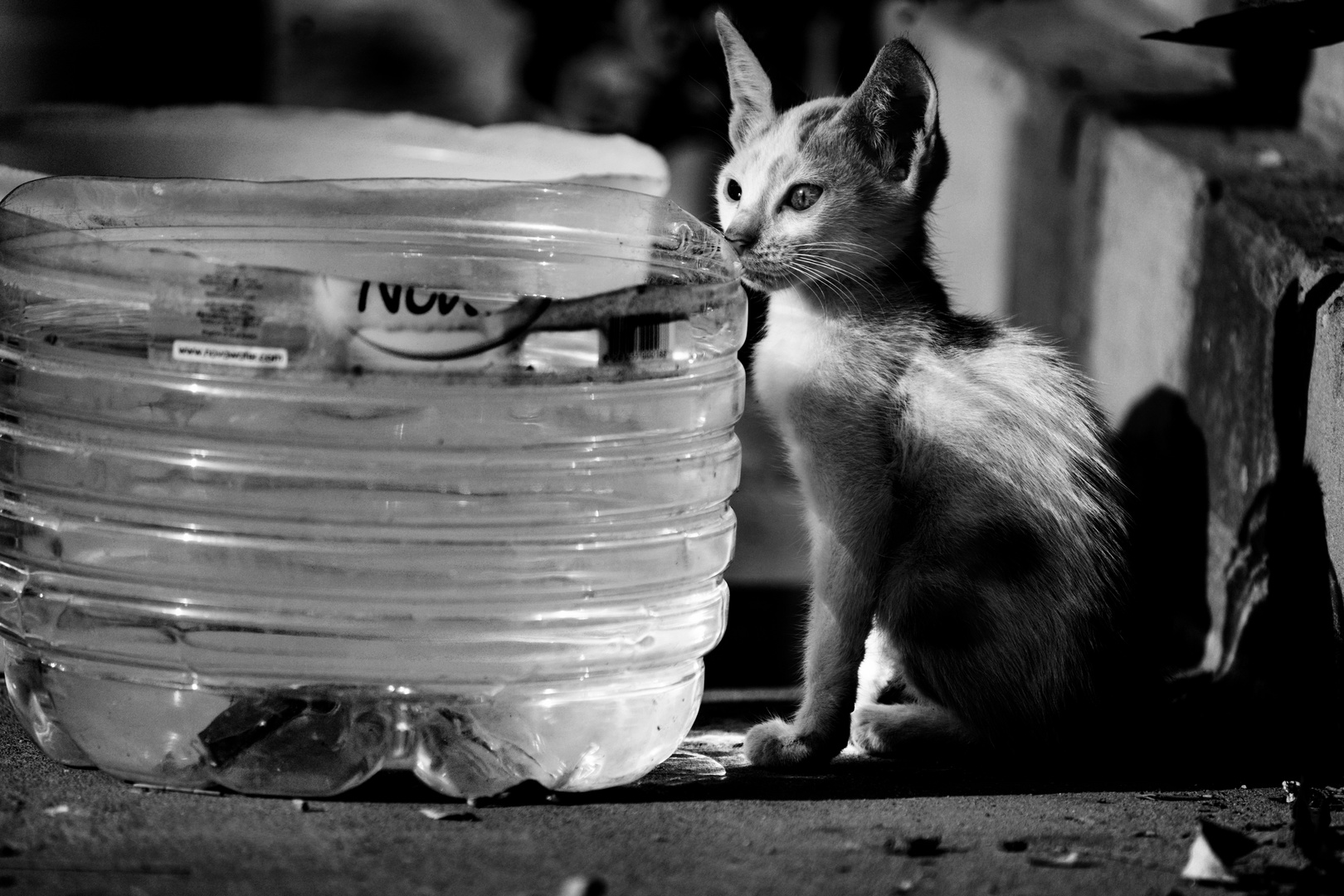 Il avait très soif et demanda un peu d'eau