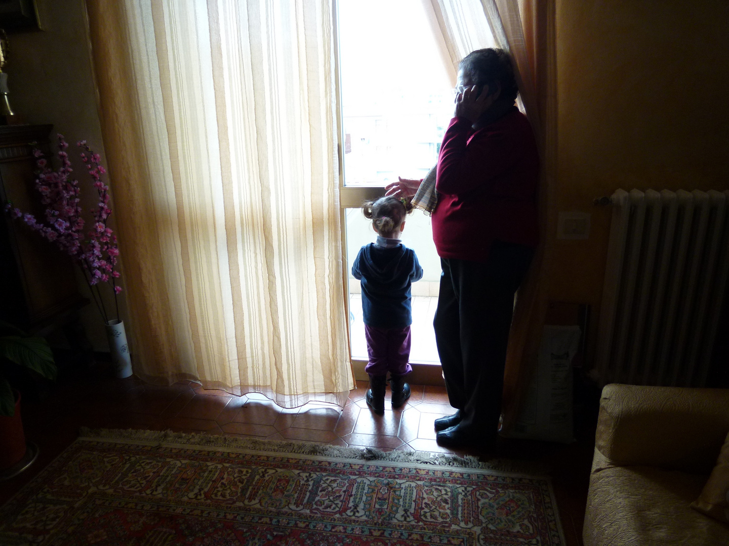 Il balcone della nonna (Marzo 2013)