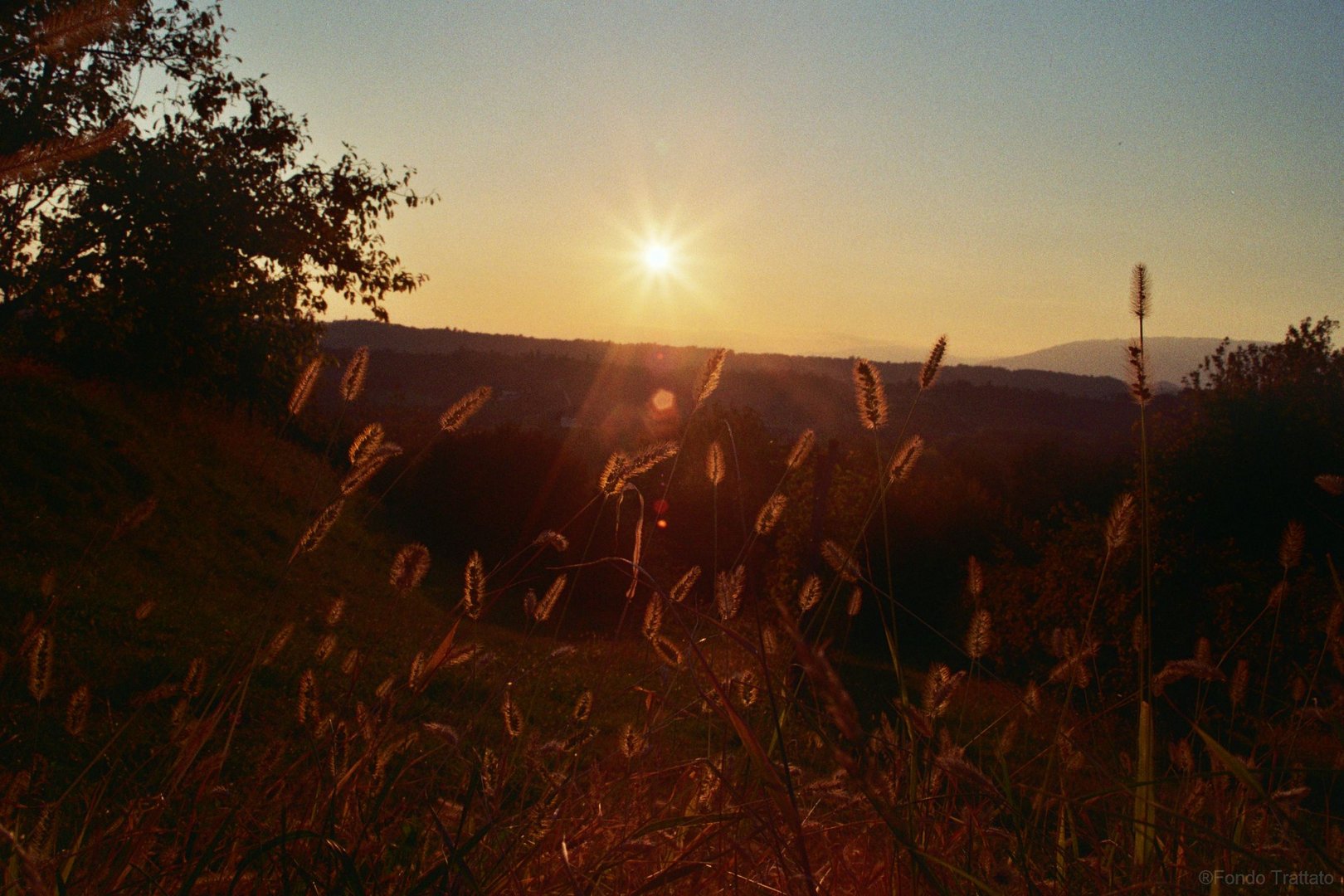 Il battito del sole