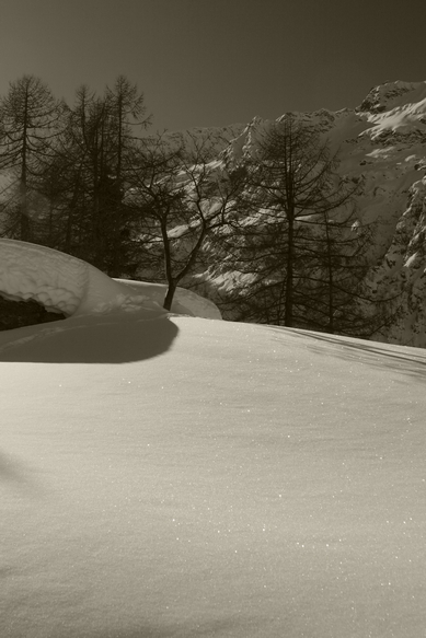 Il bello delle ciaspole