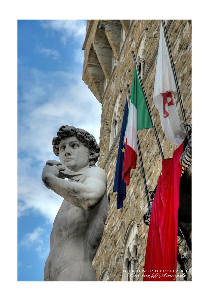 il biancone di piazza della signoria a Firenze