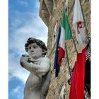 il biancone di piazza della signoria a Firenze