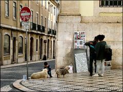 Il bimbo con i cani del mendicante . The little boy and the dogs`s beggar.