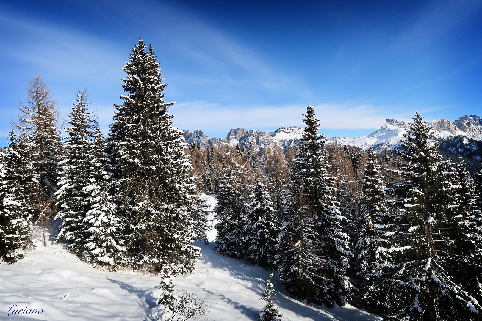il bosco Foto Immagini paesaggi, montagna, canon Foto su