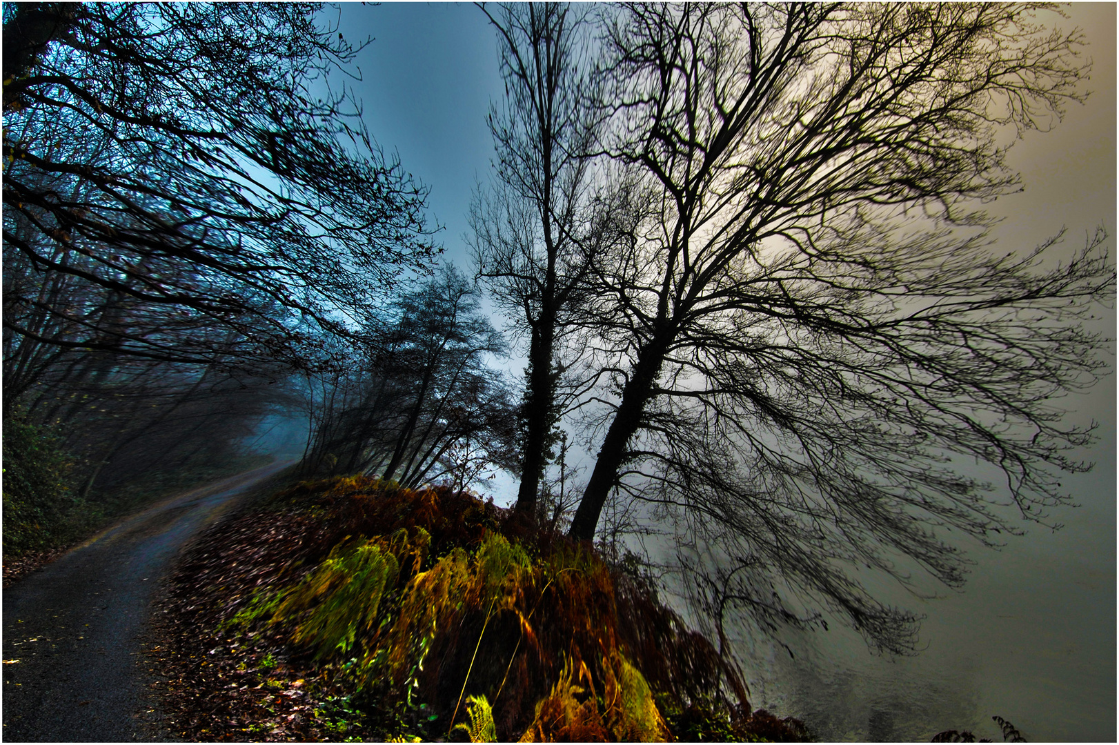 il bosco di blair witch project