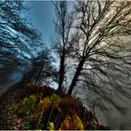 il bosco di blair witch project