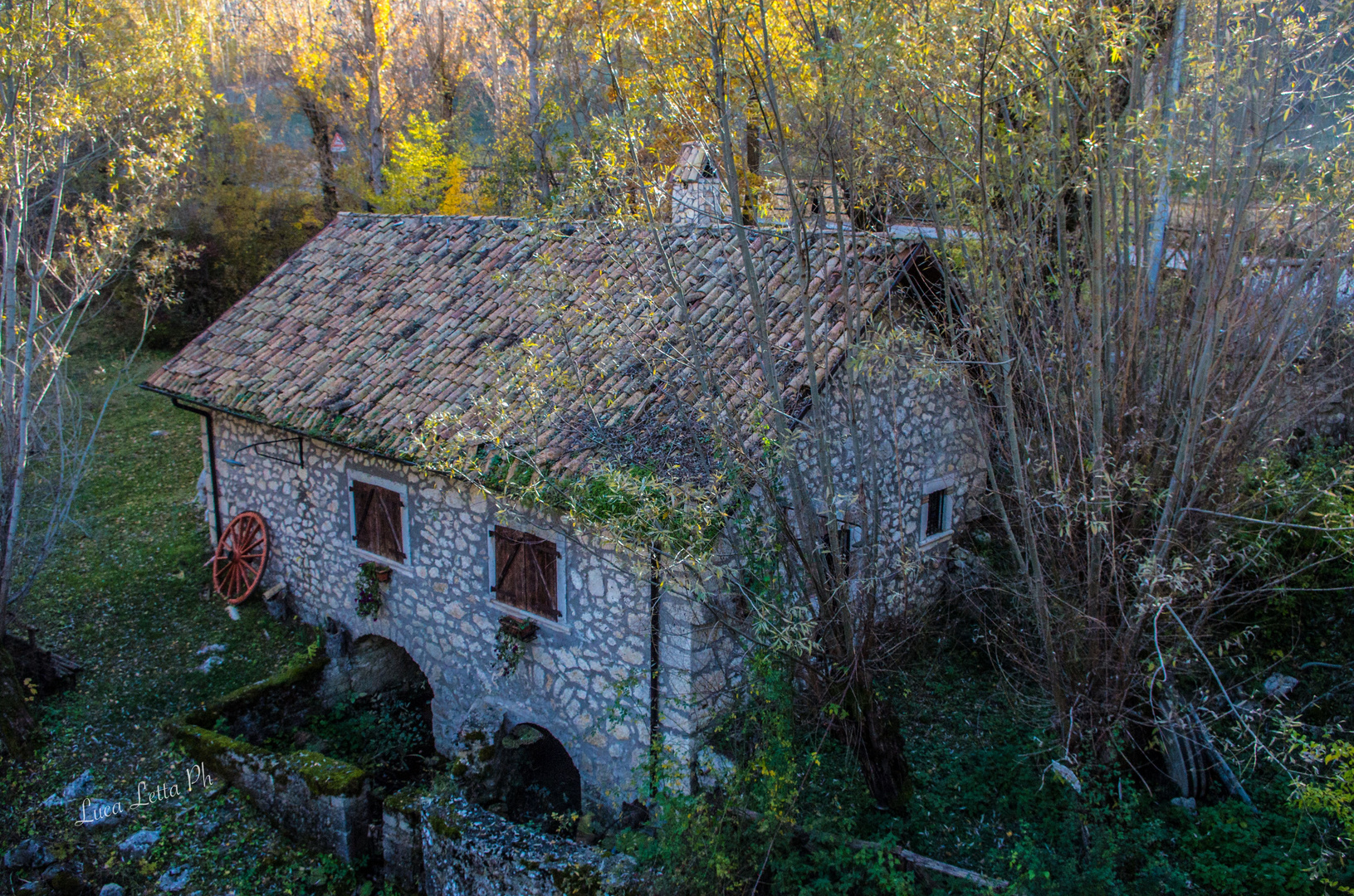 Il bosco nascosto