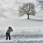 il cacciatore di alberi