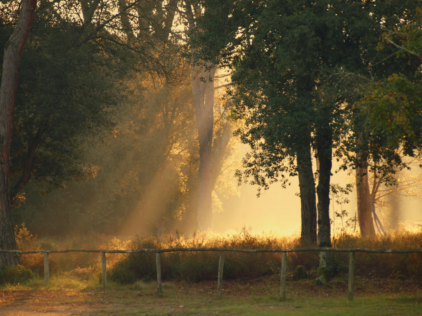 il calore della luce