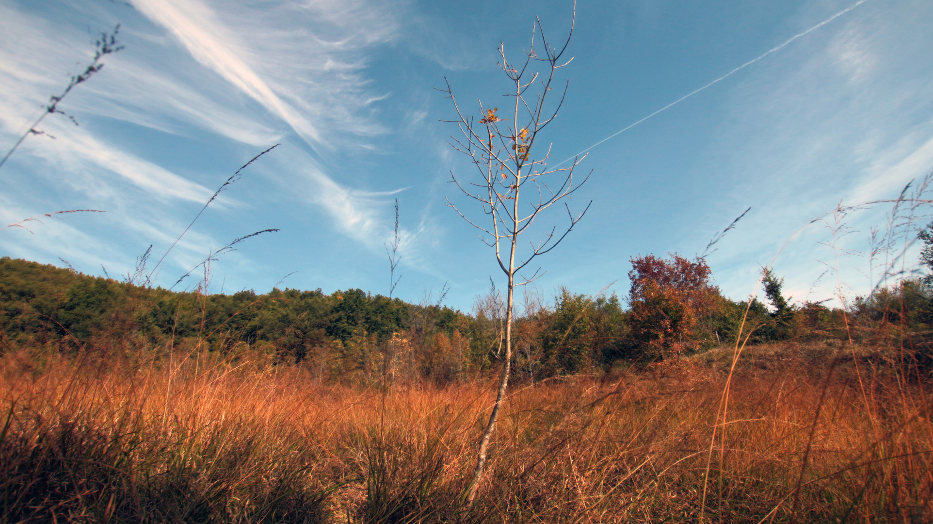 il calore della natura