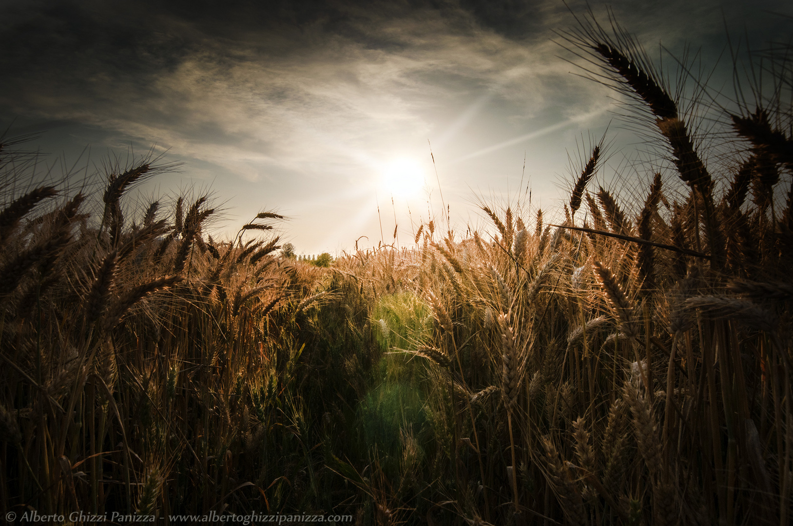 Il calore dell'estate