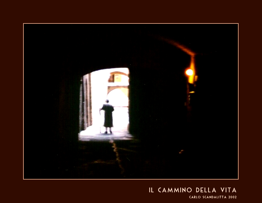 Il cammino della vita