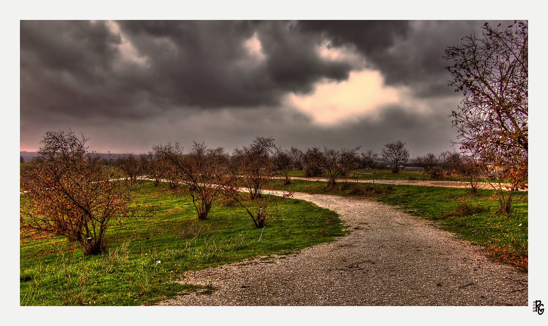 Il campo dei noccioli