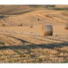 il campo di balle di fieno