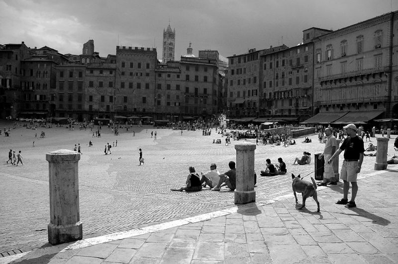 Il Campo in Siena