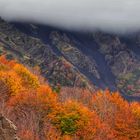 Il canalone dei faggi in autunno