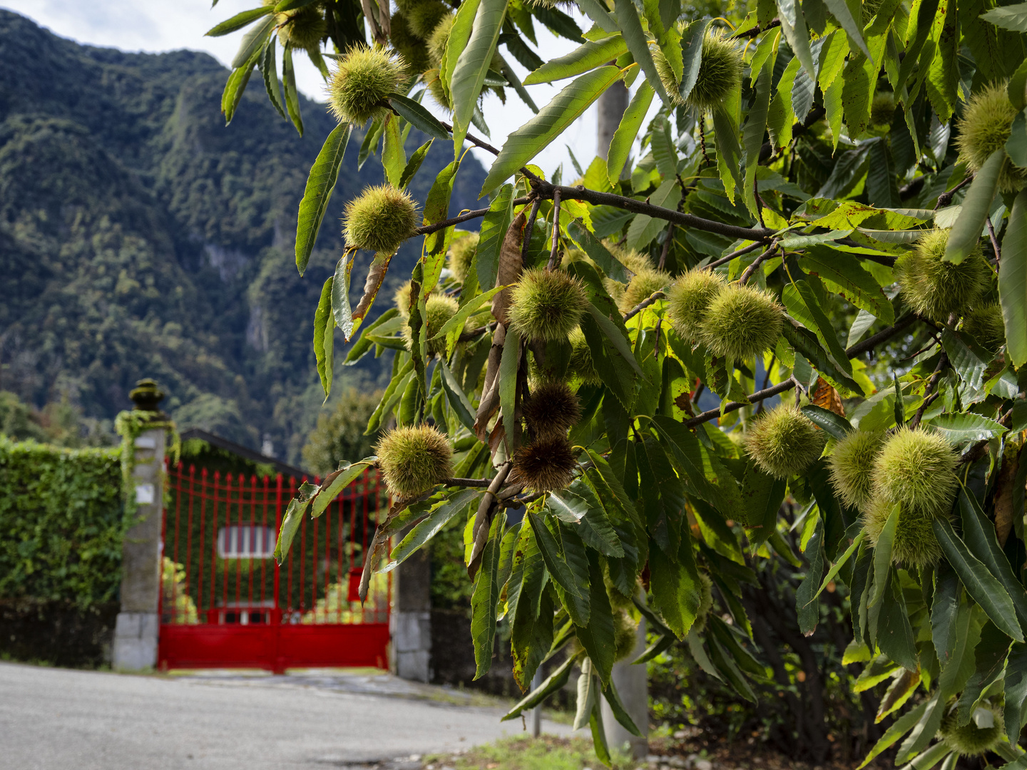 Il cancello rosso di Rasate