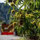 Il cancello rosso di Rasate