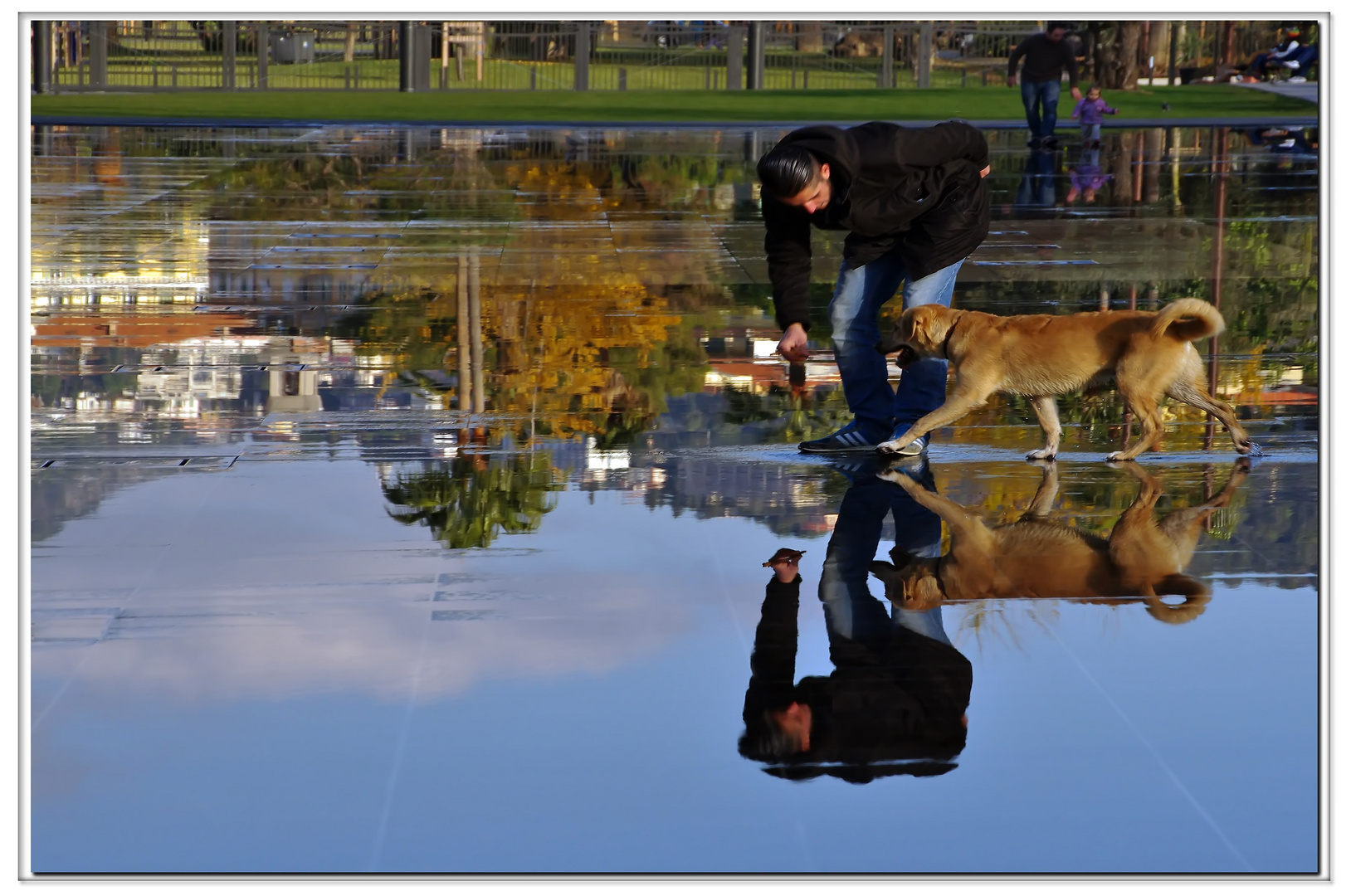 il cane che giocava....