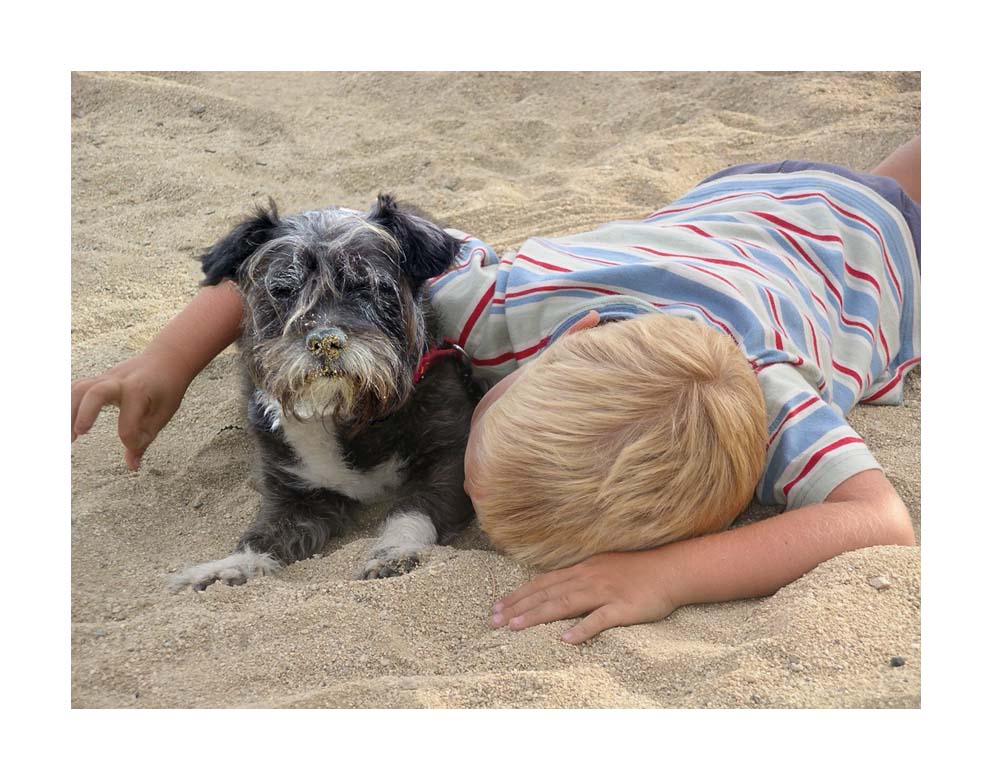 il cane che sussura al bambino...