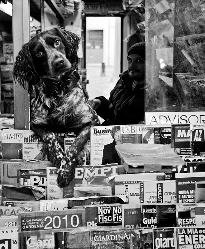 IL CANE EDICOLANTE / THE NEWSPAPERS DOG-SELLER