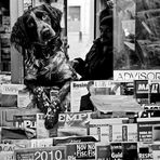 IL CANE EDICOLANTE / THE NEWSPAPERS DOG-SELLER