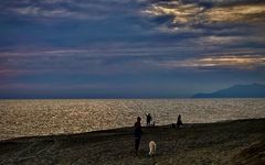 Il cane porta le ombre verso il tramonto….