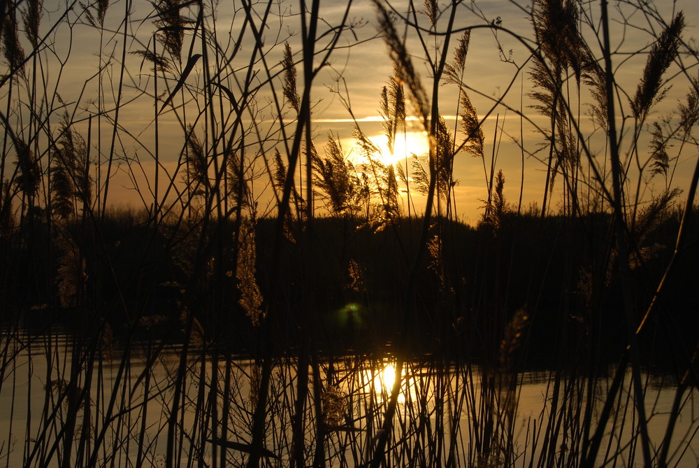 il canneto al tramonto