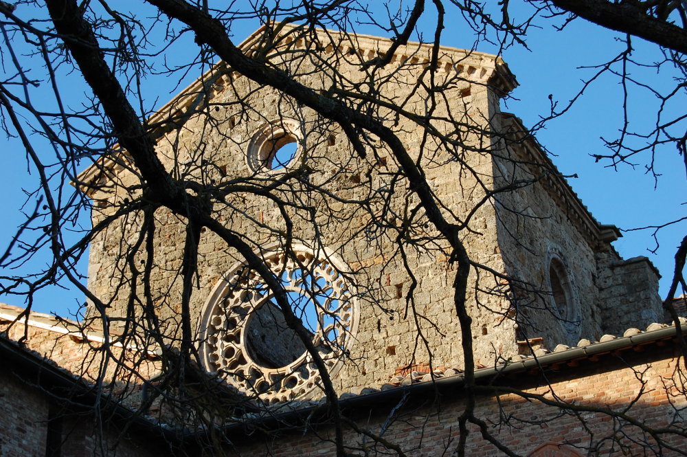 Il canto dell'abbazia